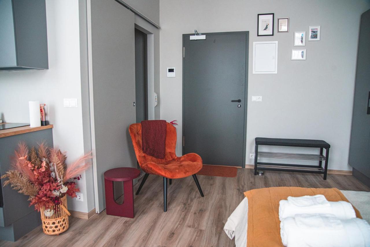 Appartement Cozy Studio By The City Centre à Reykjavik Extérieur photo