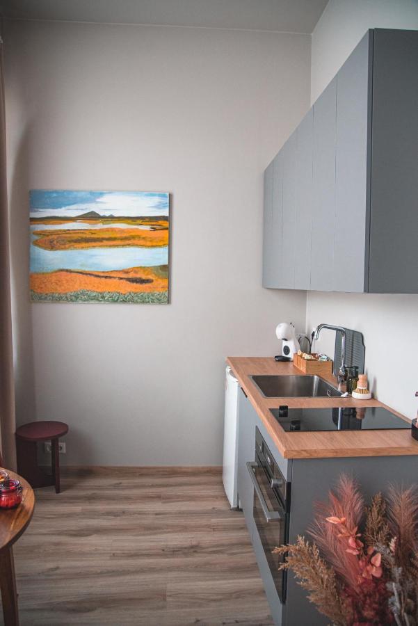 Appartement Cozy Studio By The City Centre à Reykjavik Extérieur photo