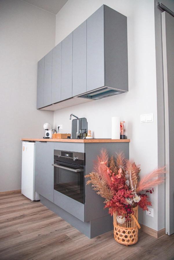 Appartement Cozy Studio By The City Centre à Reykjavik Extérieur photo